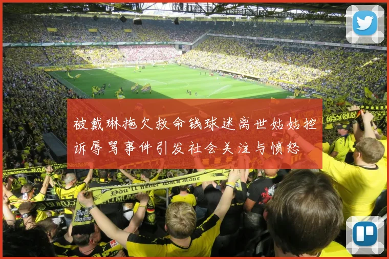 被戴琳拖欠救命钱球迷离世姑姑控诉辱骂事件引发社会关注与愤怒
