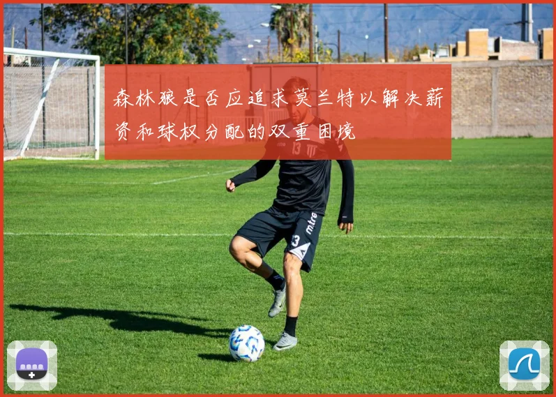 森林狼是否应追求莫兰特以解决薪资和球权分配的双重困境