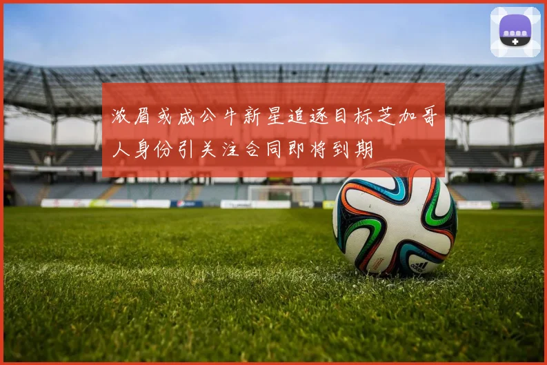 浓眉或成公牛新星追逐目标芝加哥人身份引关注合同即将到期