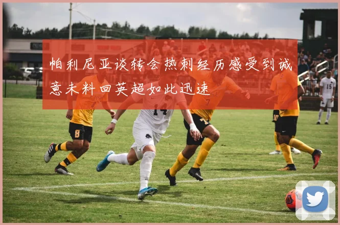 帕利尼亚谈转会热刺经历感受到诚意未料回英超如此迅速
