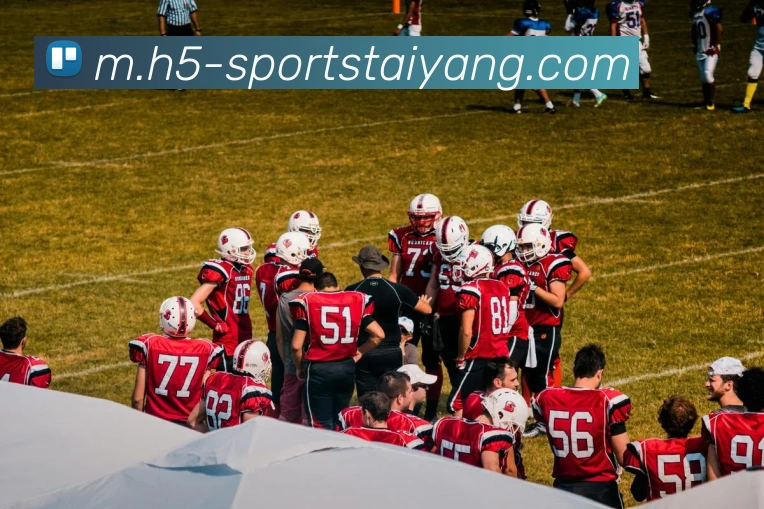 太阳城发展历程